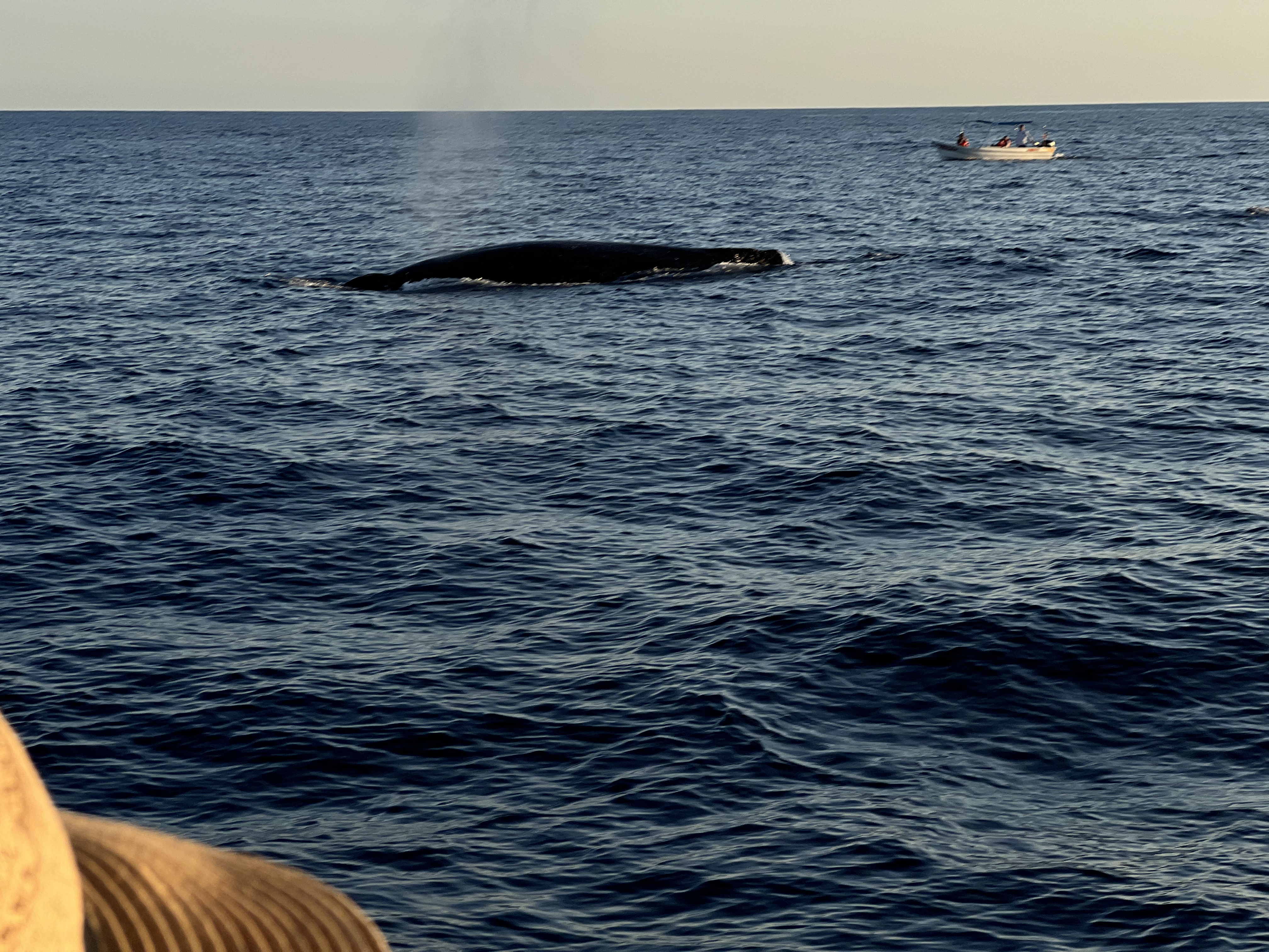 ./2024/13 - Cabo/IMG_4719.jpg